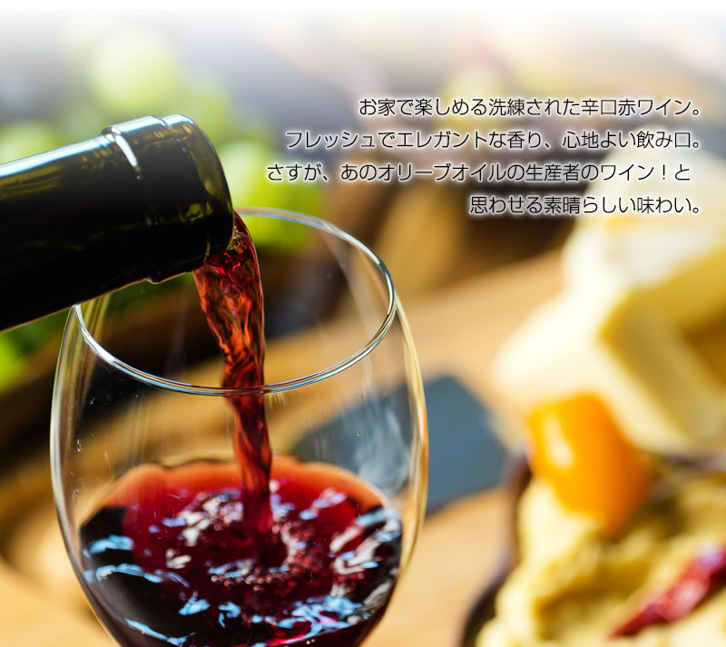 CARMビスパード・ティント[2021] 750ml 辛口 赤ワイン ミディアムボディ ドウロ地方 世界遺産 直輸入 ポルトガルワイン 【6sou】