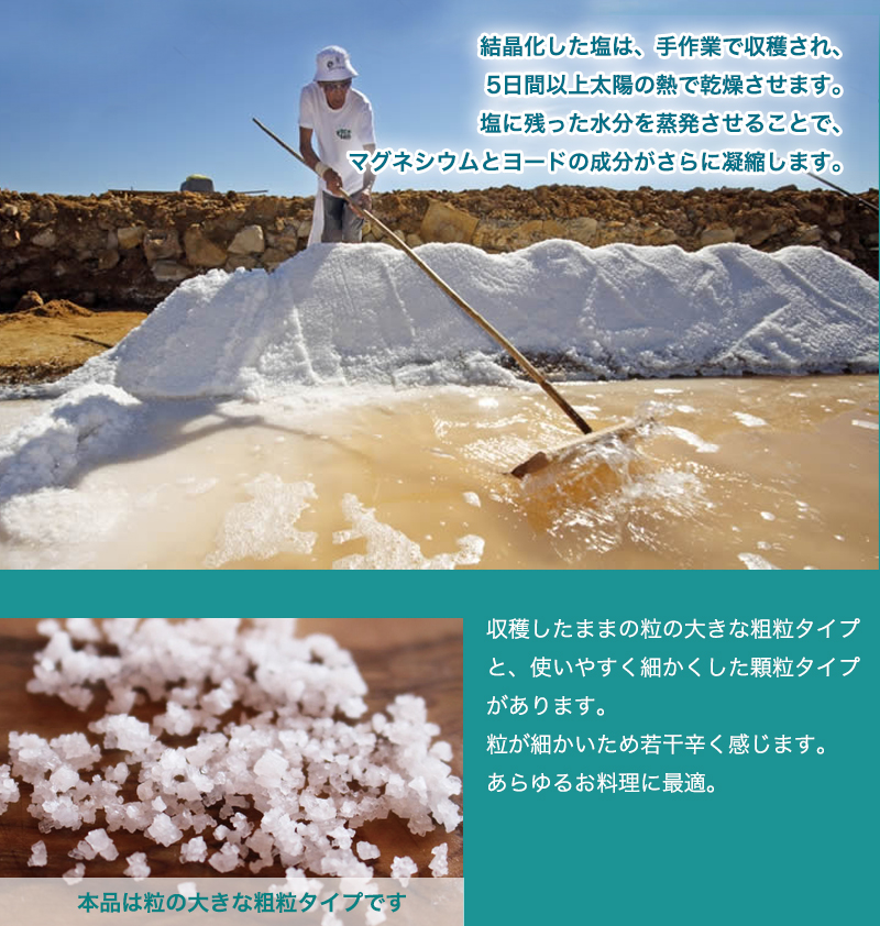 トラディショナル・シーソルト粗塩(1kg) 直輸入 ポルトガル産