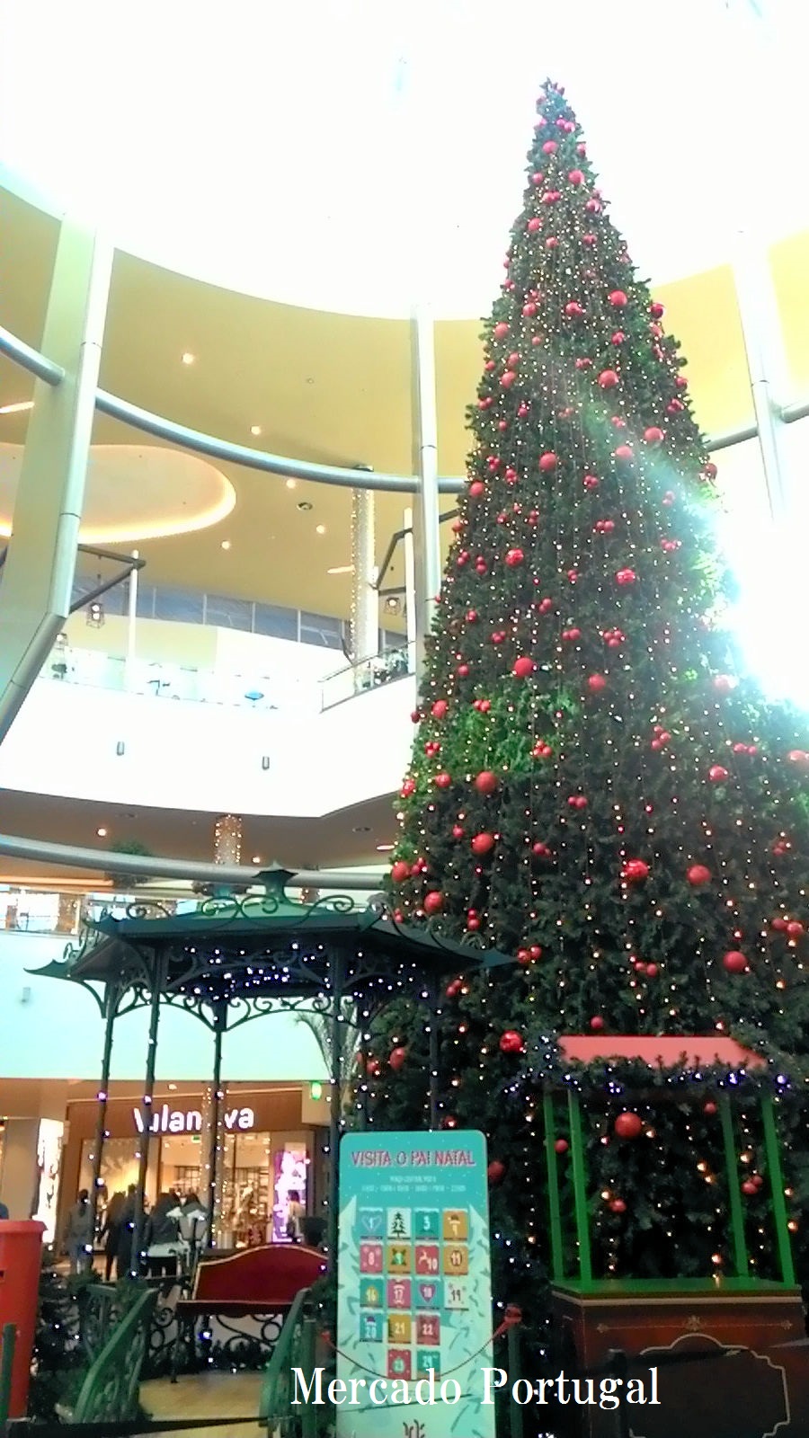 ショッピングモール内には大きいツリーが飾られています