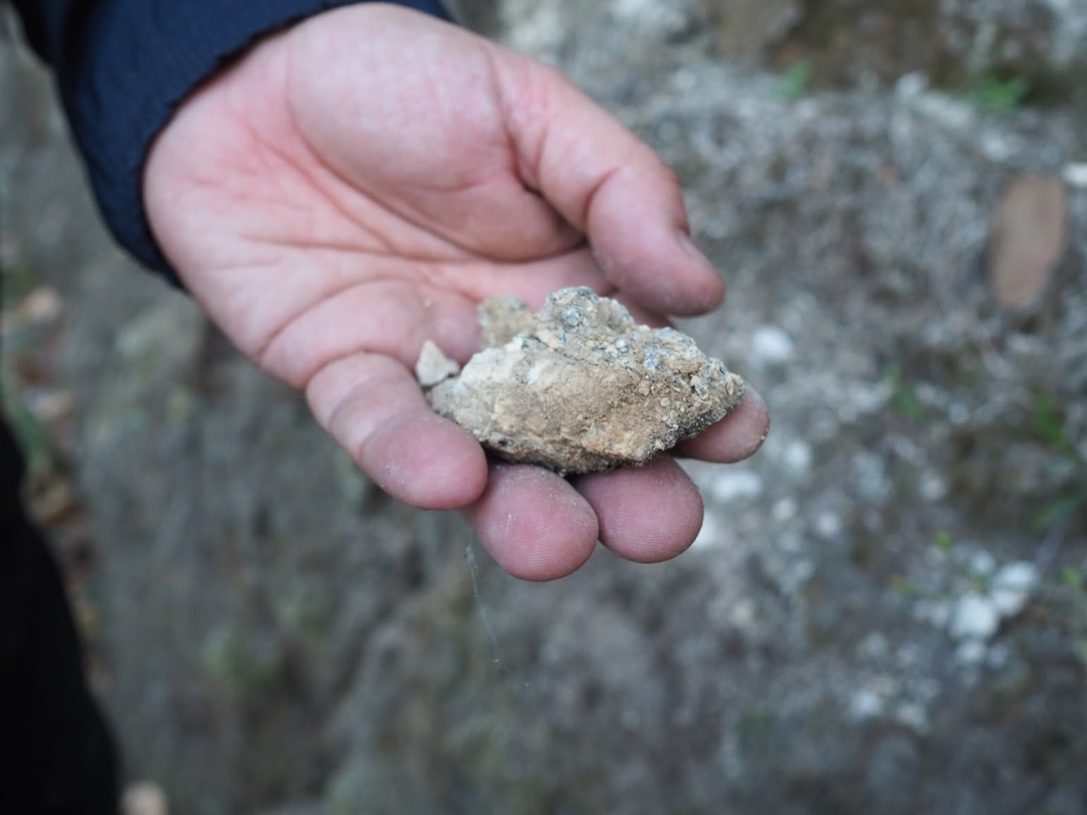 石英を豊富に含んだ砂質に近い淡い花崗岩土壌で、ワインにミネラル分を与えます。