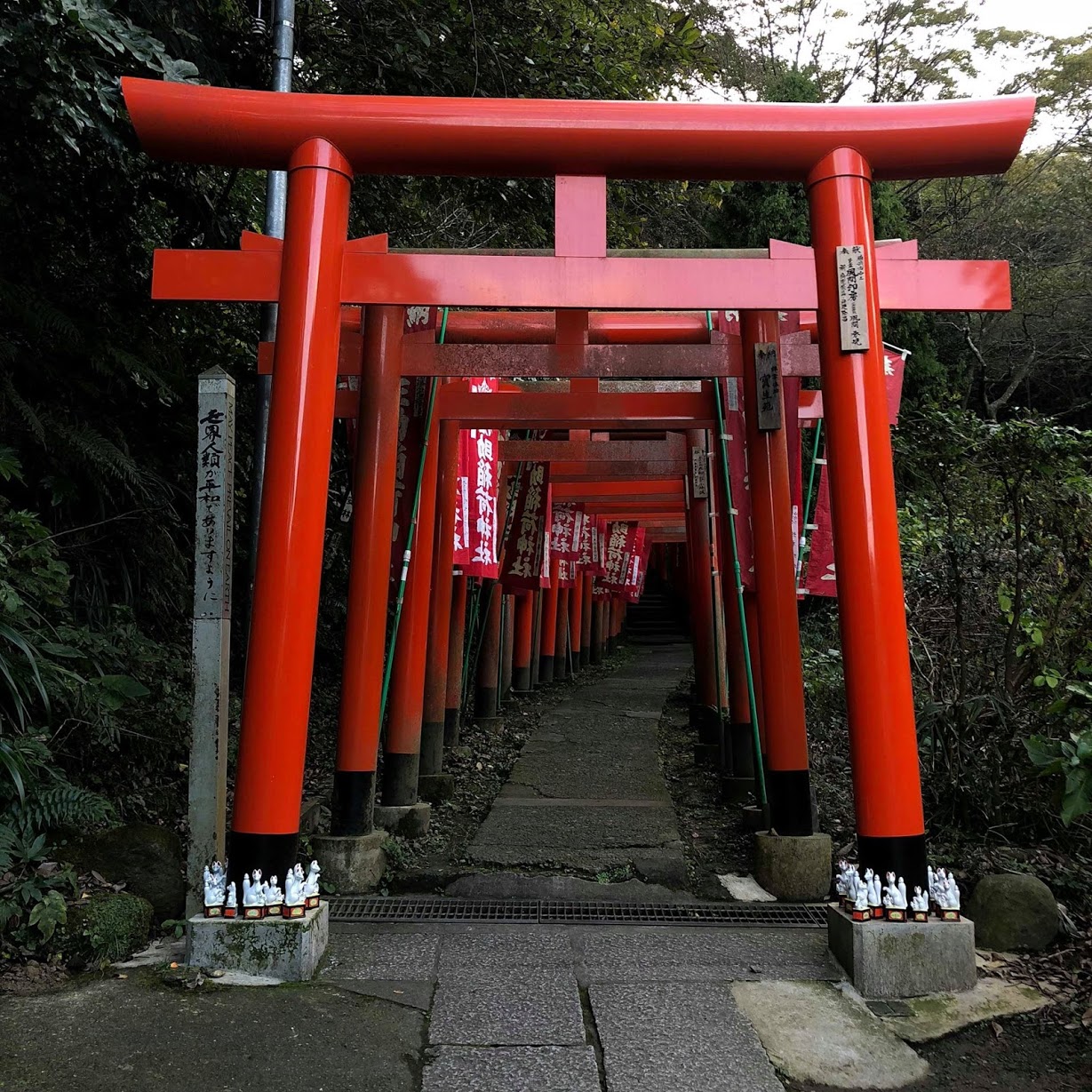 佐助稲荷神社の入口。とても絵になります。
