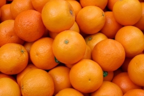 美味しいポルトガルのオレンジ