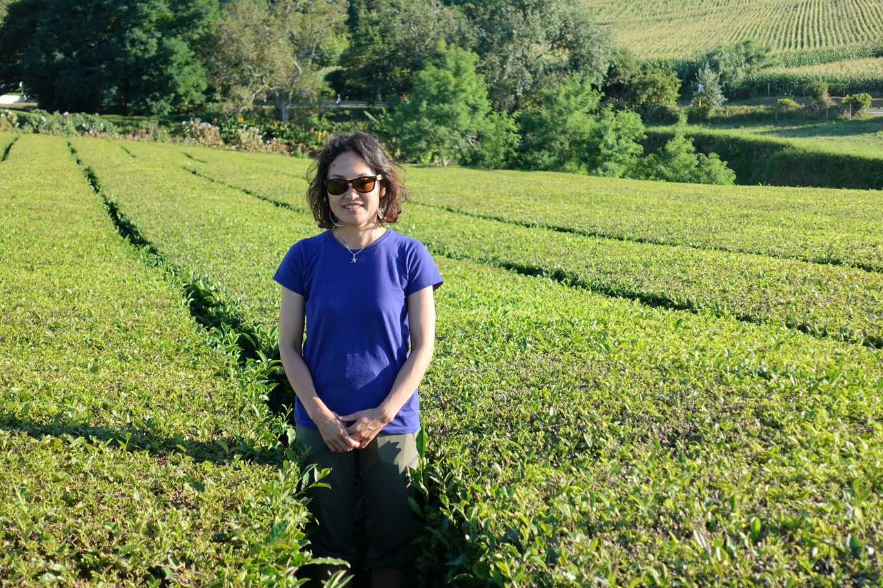 広い茶畑の中に立ってみました！